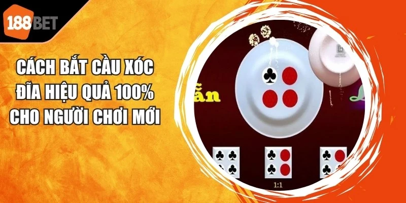 Cách Bắt Cầu Xóc Đĩa