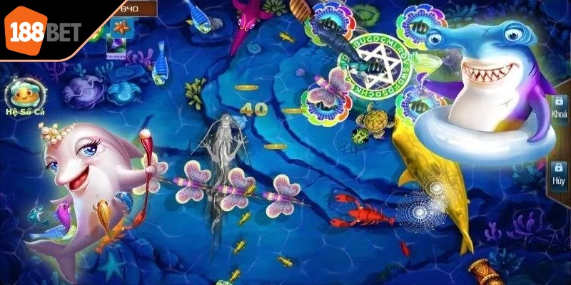 Sinh vật biển thường theo từng đợt rõ ràng nên bạn cần quan sát cẩn thận